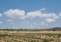 Resale - Land - Pinoso - Pinoso - El Pinós