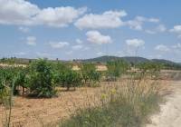 Resale - Land - Pinoso - Pinoso - El Pinós
