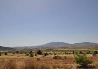 Resale - Land - Pinoso - Rural location