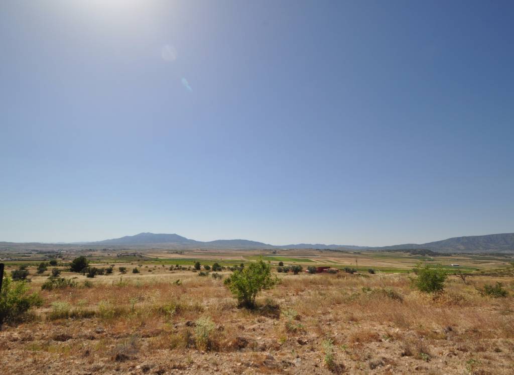 Resale - Land - Pinoso - Rural location