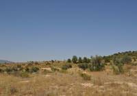 Resale - Land - Pinoso - Rural location
