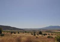 Resale - Land - Pinoso - Rural location