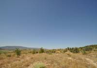 Resale - Land - Pinoso - Rural location