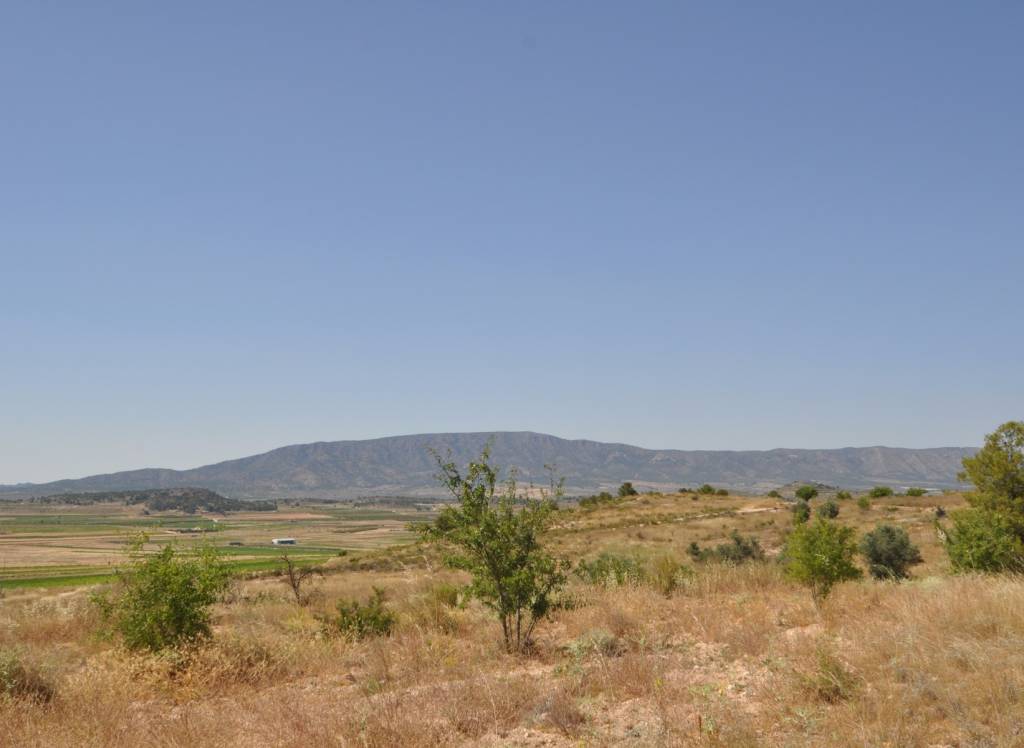 Resale - Land - Pinoso - Rural location