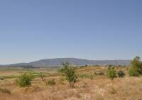 Resale - Land - Pinoso - Rural location