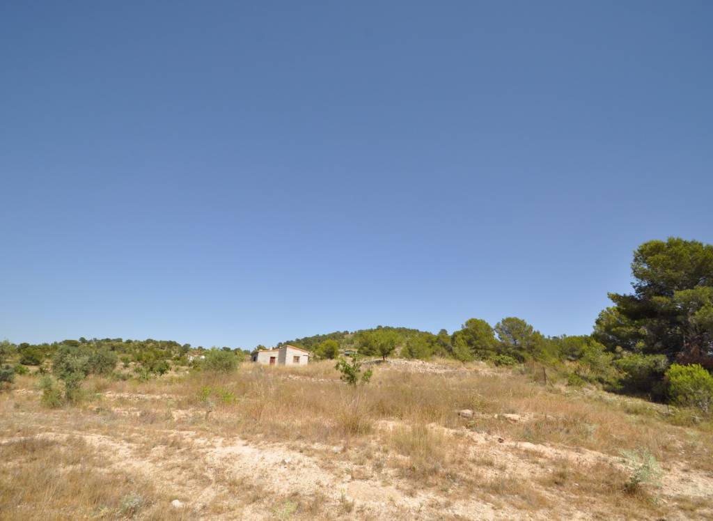 Resale - Land - Pinoso - Rural location