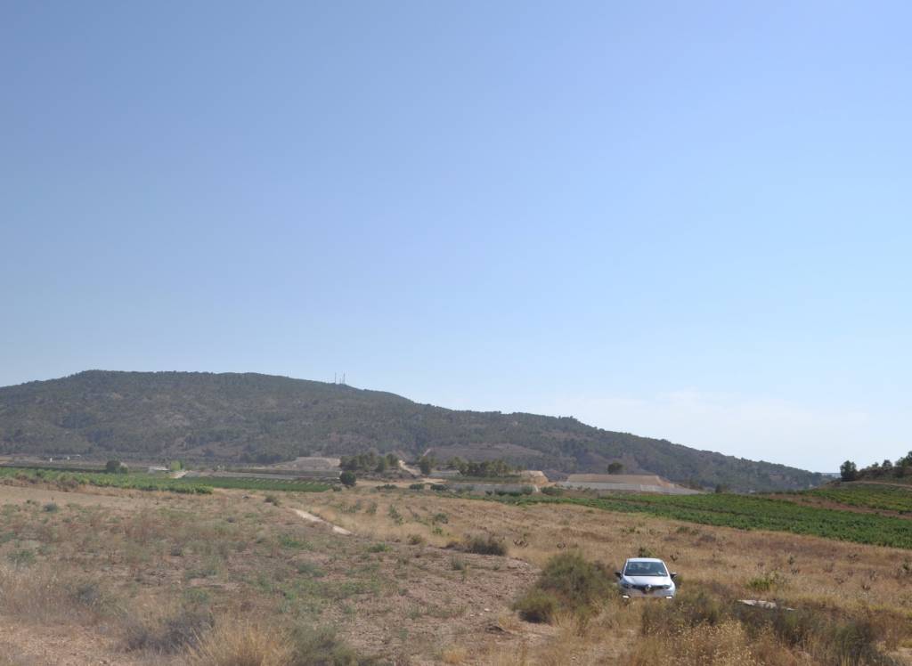 Resale - Land - Pinoso - Rural location