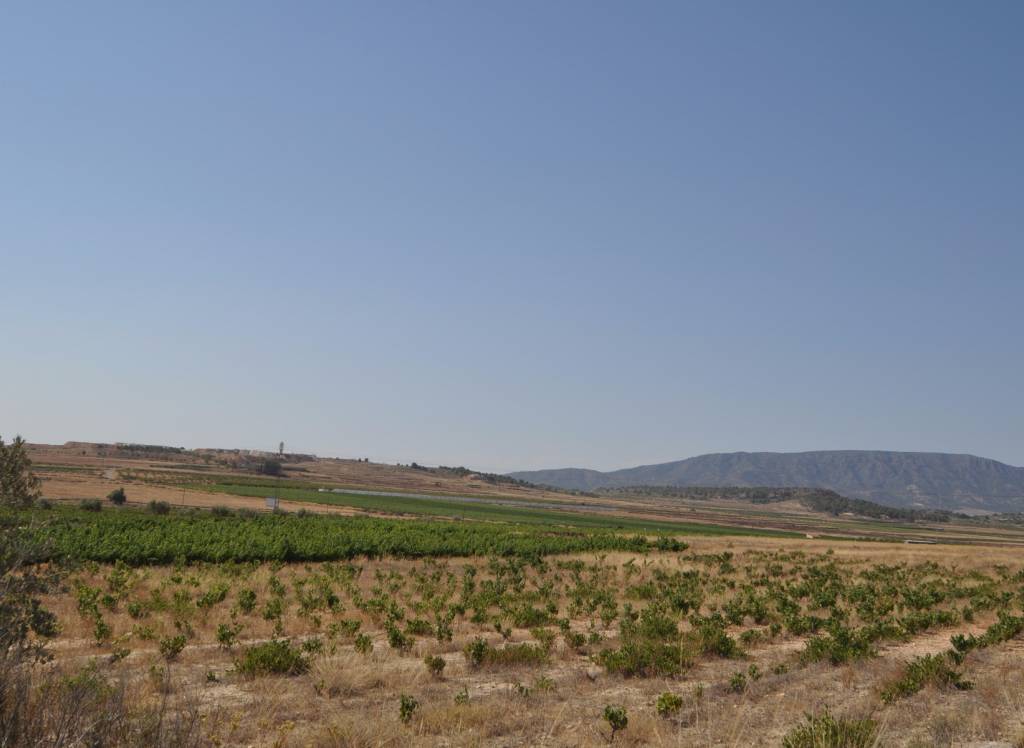 Resale - Land - Pinoso - Rural location