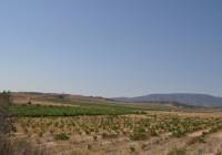 Resale - Land - Pinoso - Rural location