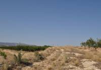 Resale - Land - Pinoso - Rural location