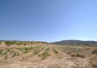 Resale - Land - Pinoso - Rural location