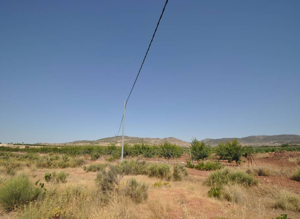 Resale - Land - Pinoso - Rural location