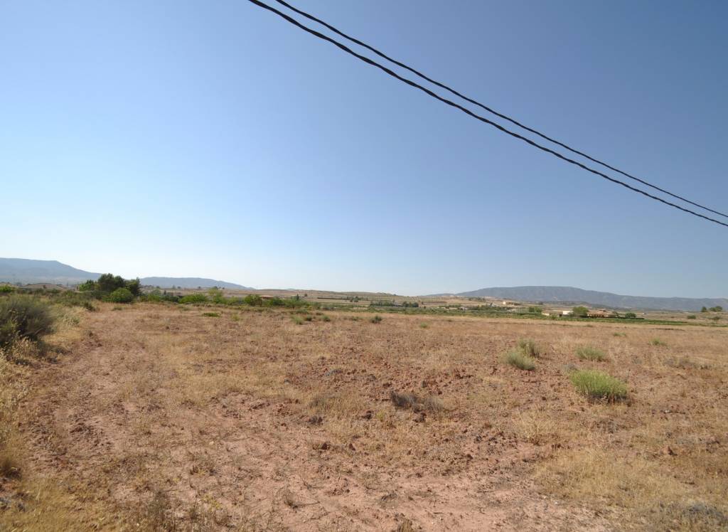 Resale - Land - Pinoso - Rural location