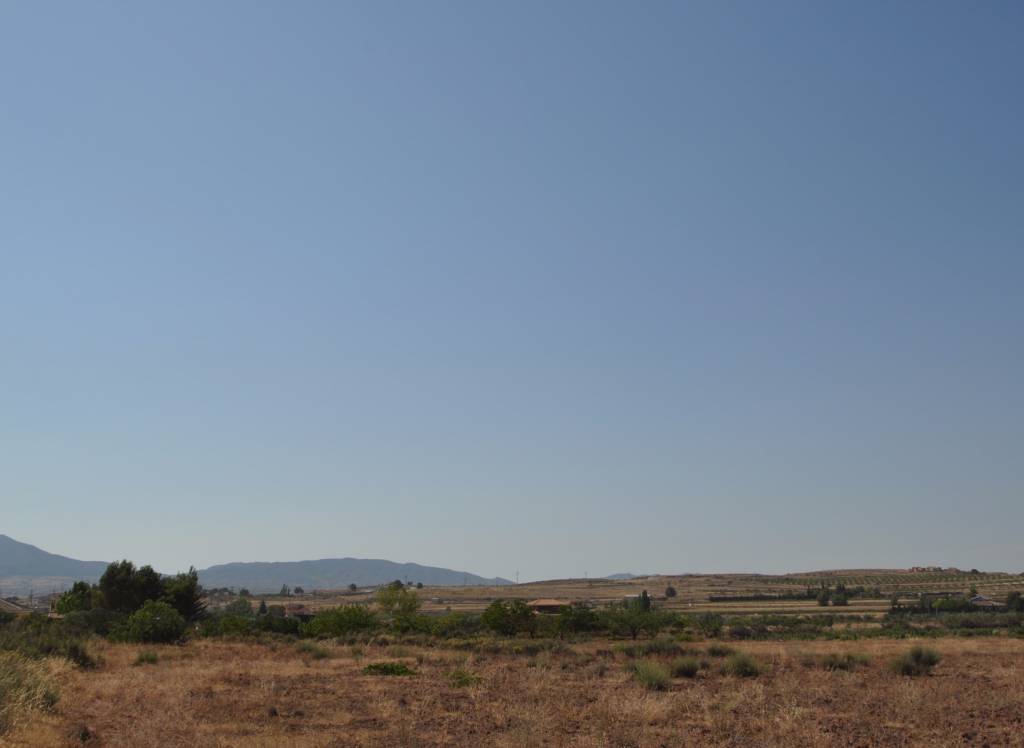 Resale - Land - Pinoso - Rural location