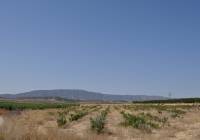 Resale - Land - Pinoso - Rural location