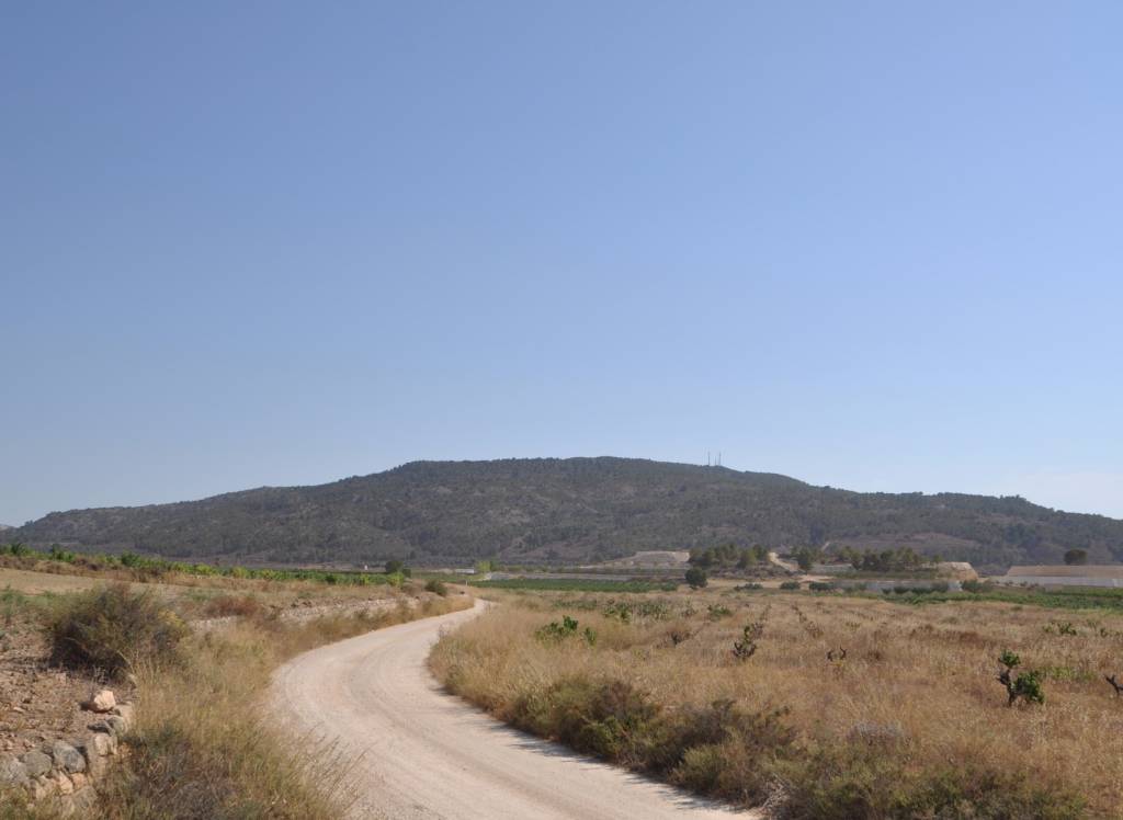 Resale - Land - Pinoso - Rural location