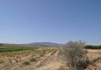 Resale - Land - Pinoso - Rural location