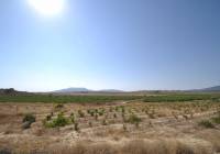 Resale - Land - Pinoso - Rural location