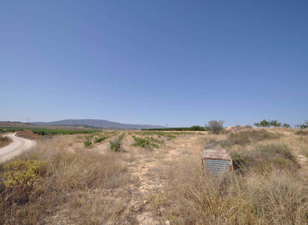 Resale - Land - Pinoso - Rural location