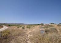 Resale - Land - Pinoso - Rural location