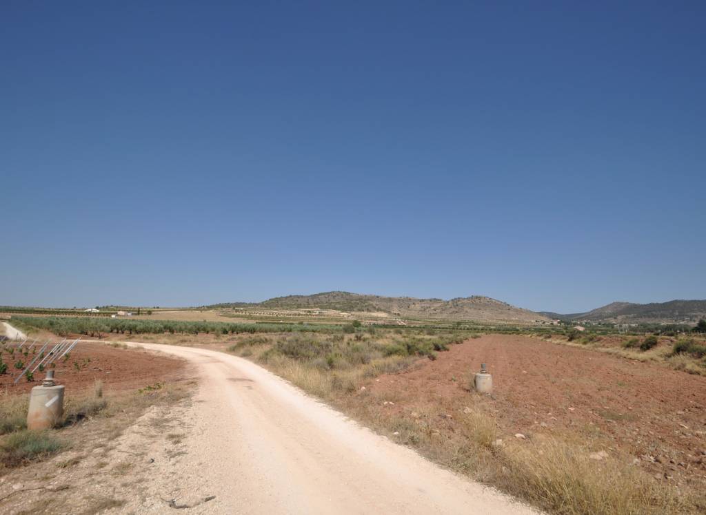 Resale - Land - Pinoso - Rural location