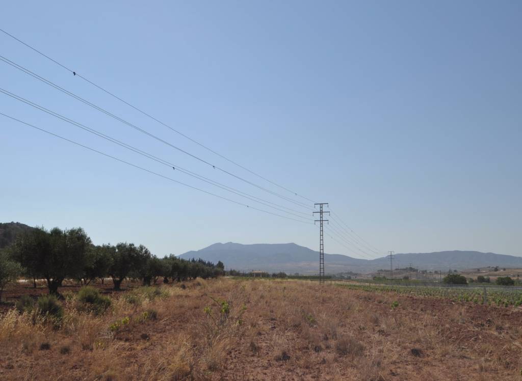 Resale - Land - Pinoso - Rural location