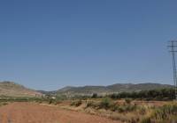 Resale - Land - Pinoso - Rural location