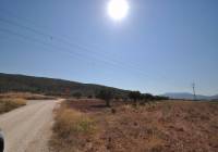 Resale - Land - Pinoso - Rural location