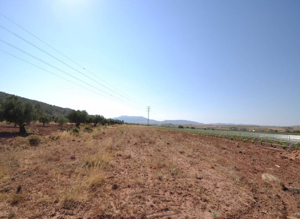 Resale - Land - Pinoso - Rural location