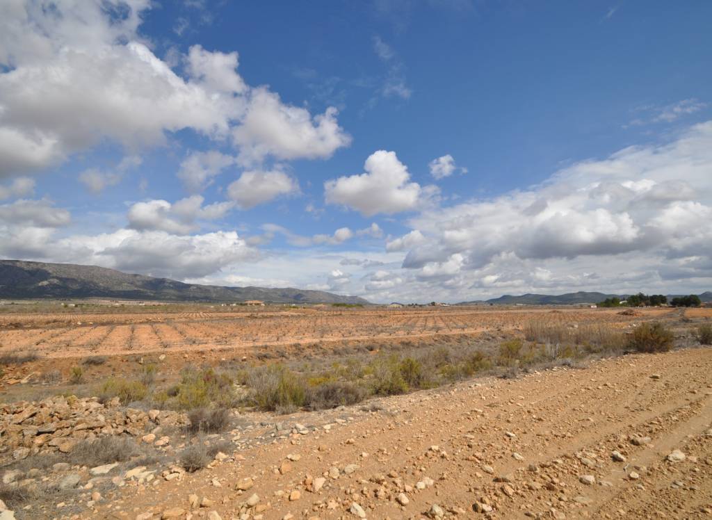 Resale - Land - Pinoso - Rural location