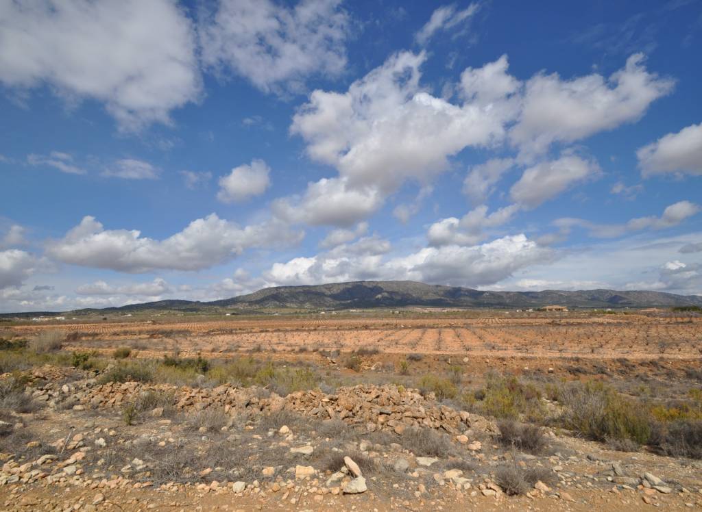 Resale - Land - Pinoso - Rural location