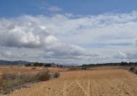 Resale - Land - Pinoso - Rural location