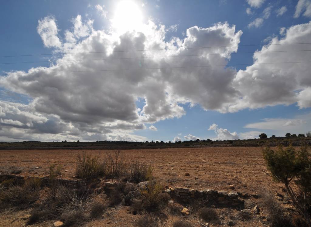 Resale - Land - Pinoso - Rural location