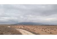 Resale - Land - Pinoso - Rural location