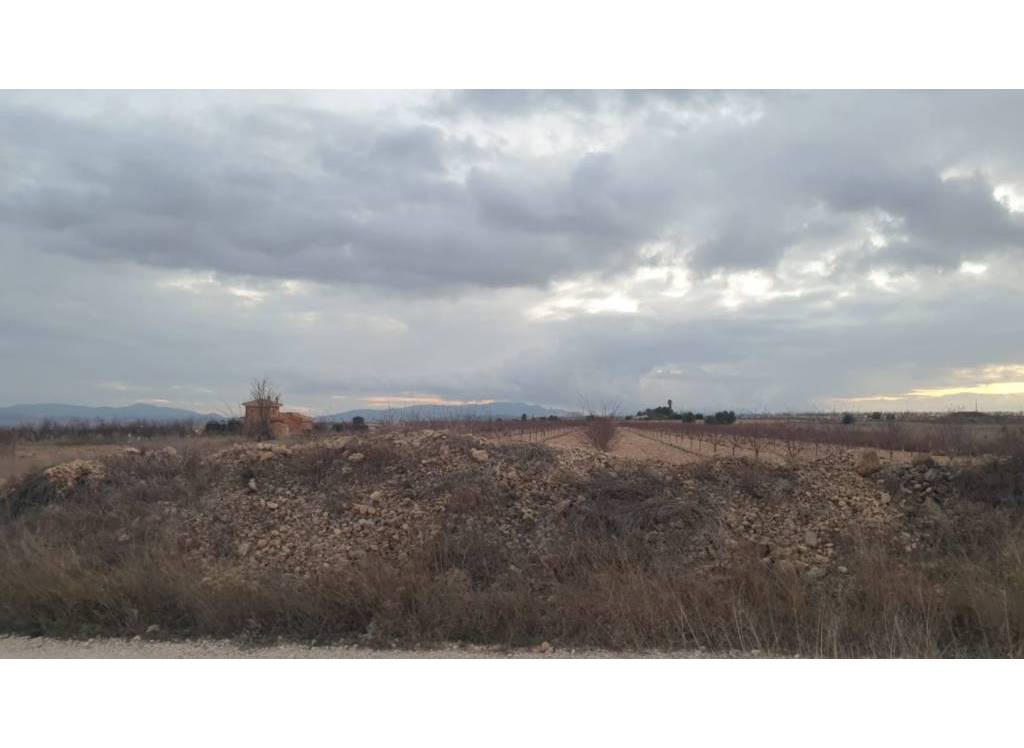 Resale - Land - Pinoso - Rural location