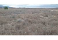 Resale - Land - Pinoso - Rural location