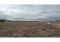 Resale - Land - Pinoso - Rural location