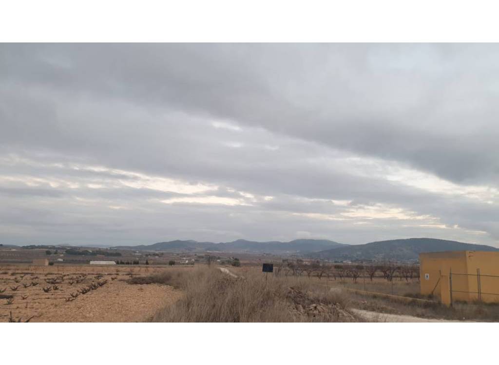Resale - Land - Pinoso - Rural location