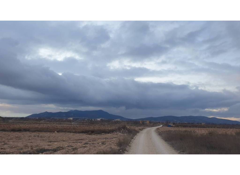 Resale - Land - Pinoso - Rural location
