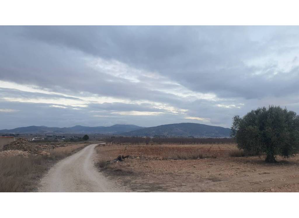 Resale - Land - Pinoso - Rural location