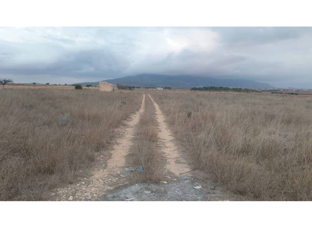 Resale - Land - Pinoso - Rural location