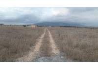 Resale - Land - Pinoso - Rural location