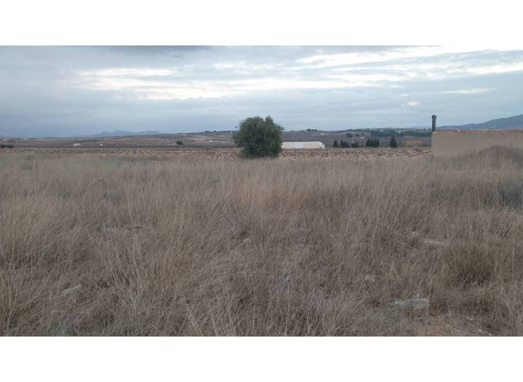 Resale - Land - Pinoso - Rural location