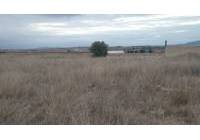 Resale - Land - Pinoso - Rural location