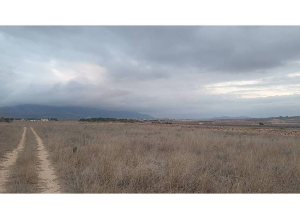 Resale - Land - Pinoso - Rural location