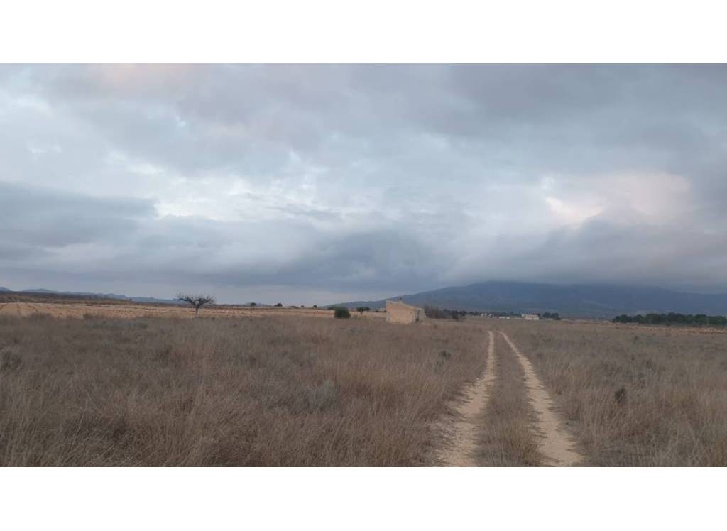 Resale - Land - Pinoso - Rural location