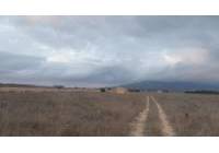 Resale - Land - Pinoso - Rural location