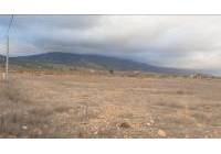 Resale - Land - Pinoso - Rural location