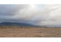 Resale - Land - Pinoso - Rural location