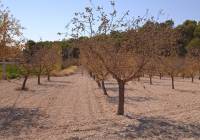 Resale - Land - Pinoso - Rural location
